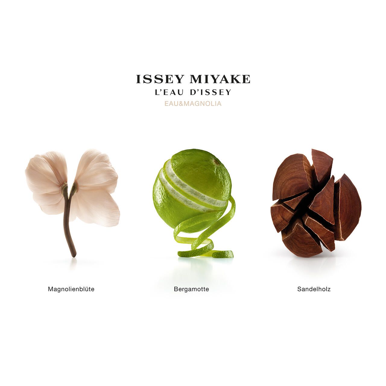 Tre elementi: fiore di magnolia, scorza di bergamotto, legno di sandalo. Logo Issey Miyake L'Eau d'Issey Eau&Magnolia in alto.
