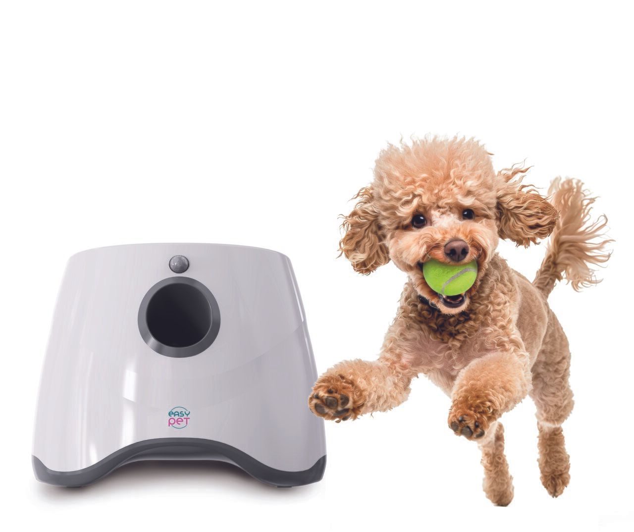 EASY PET Lanciatore automatico di palline