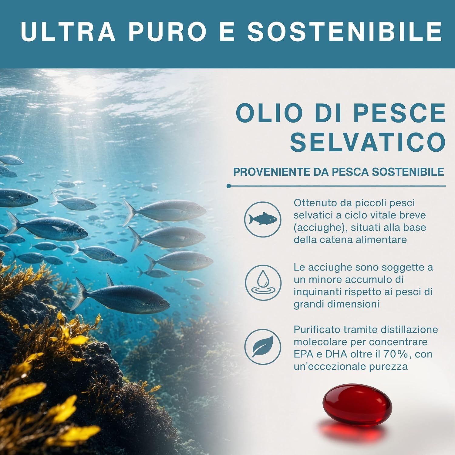 Grafica italiana: Olio di pesce selvatico ultra-puro e sostenibile, alta purezza di EPA e DHA.