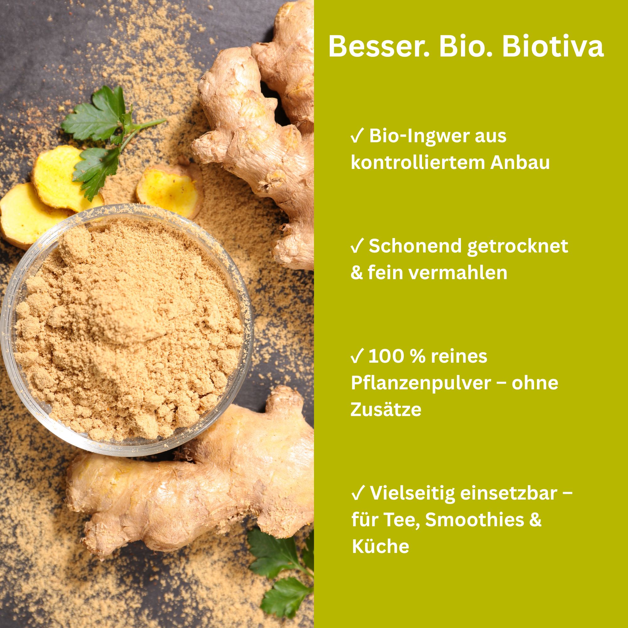 Ciotola di vetro con polvere di zenzero, accanto a pezzi di zenzero fresco. Testo: Bio-Ingwer, essiccazione delicata, 100% polvere vegetale pura.