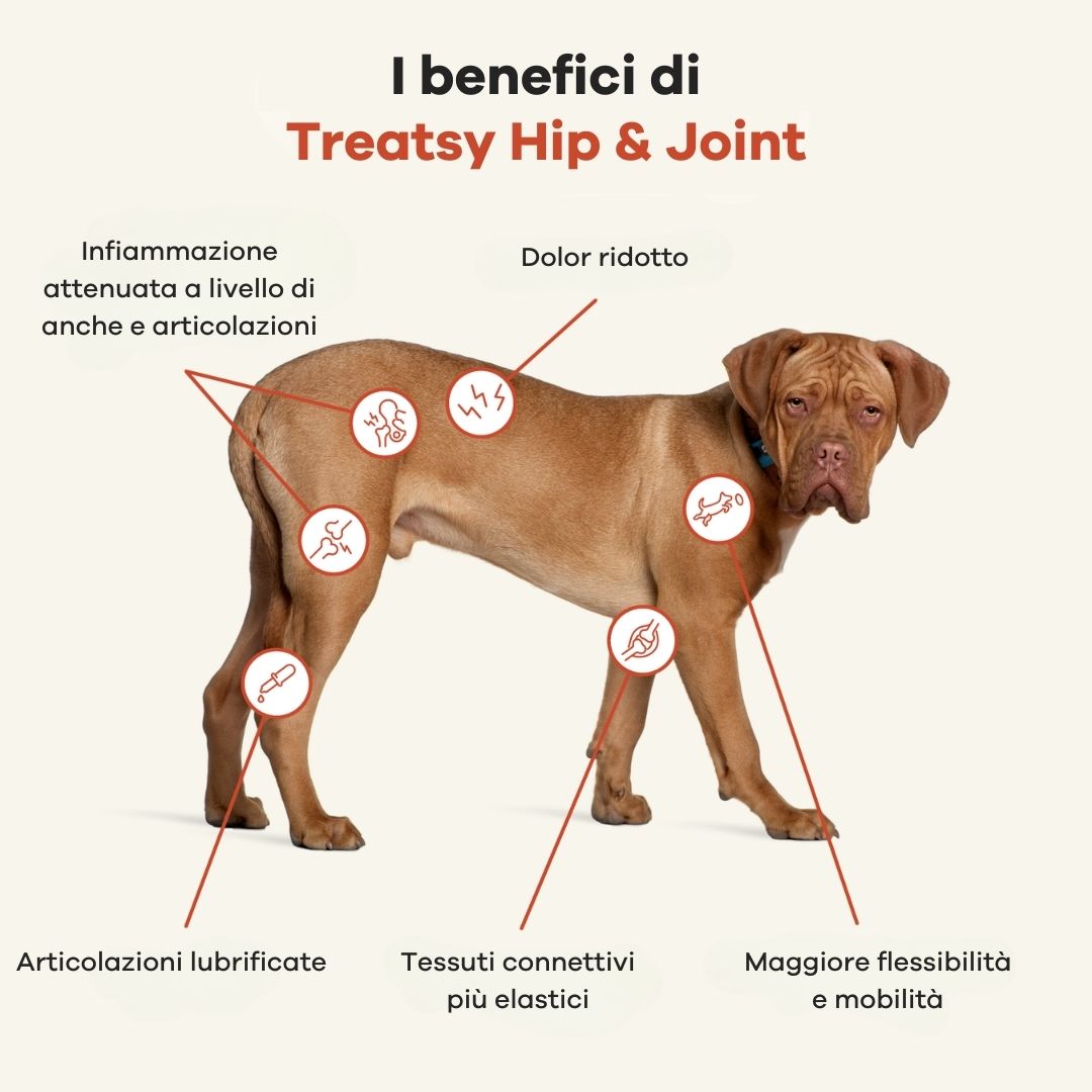 Cane con indicazioni dei benefici di Treatsy Hip & Joint. Didascalie testuali.