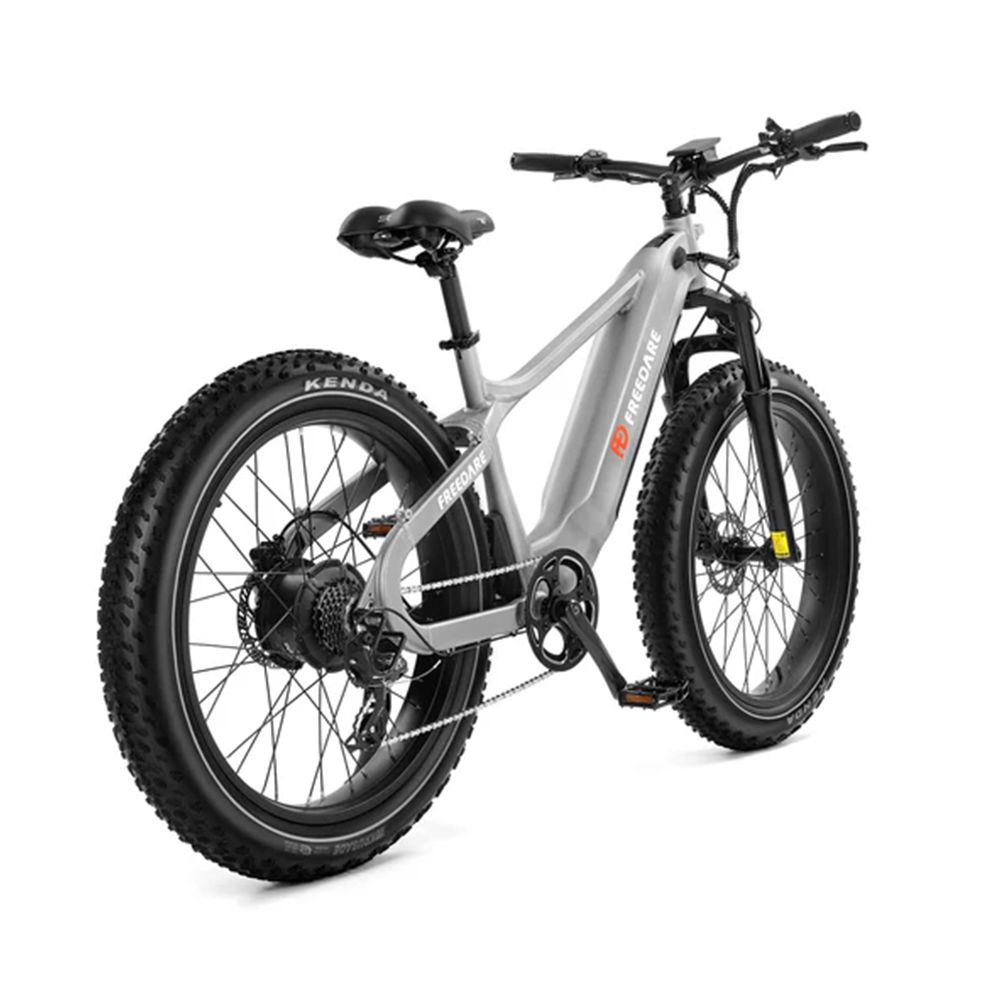 Bicicletta elettrica grigia con pneumatici neri. La bici ha il logo FREEDARE e la scritta KENDA. Vista posteriore.