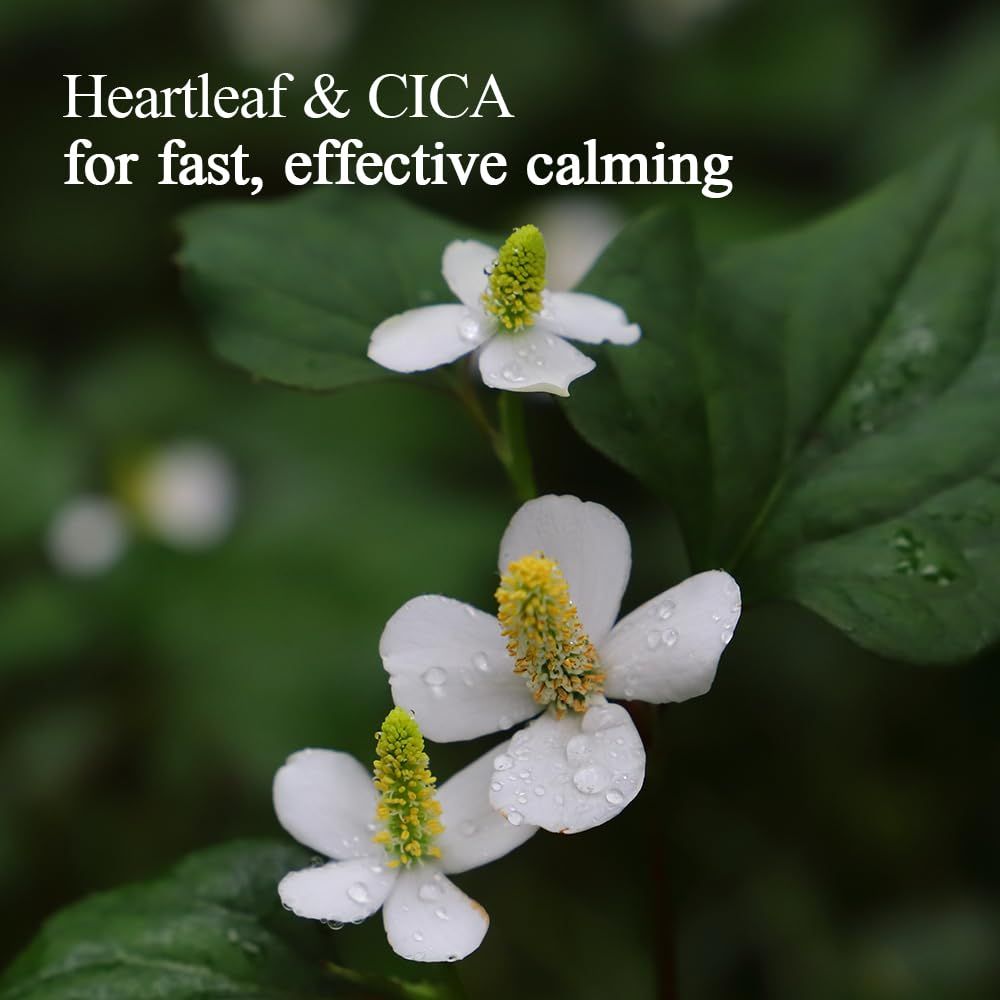 Primo piano di fiori bianchi con centri gialli e foglie verdi. Testo: Heartleaf & CICA for fast, effective calming.