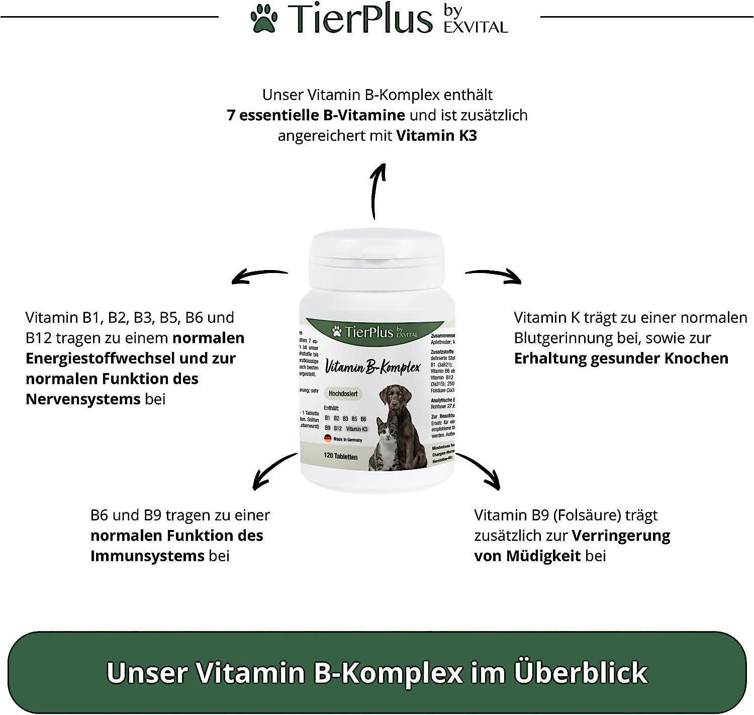 EXVital Vitamina B-Complesso. Flacone bianco con compresse. Contiene 7 vitamine B e vitamina K3. Panoramica degli ingredienti.