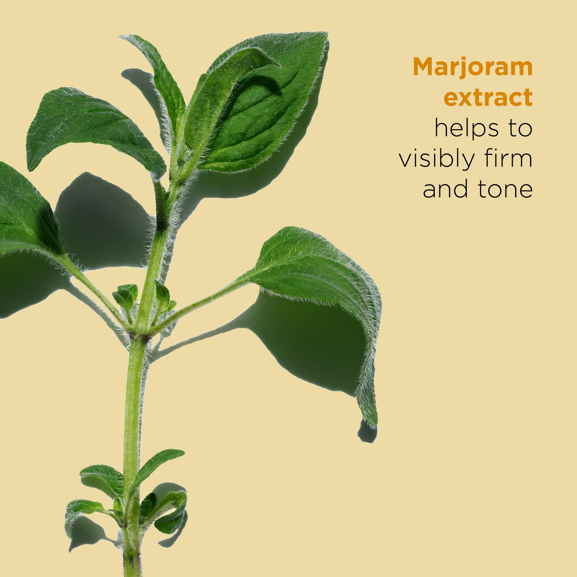 Foglie verdi con testo: Marjoram extract helps to visibly firm and tone.