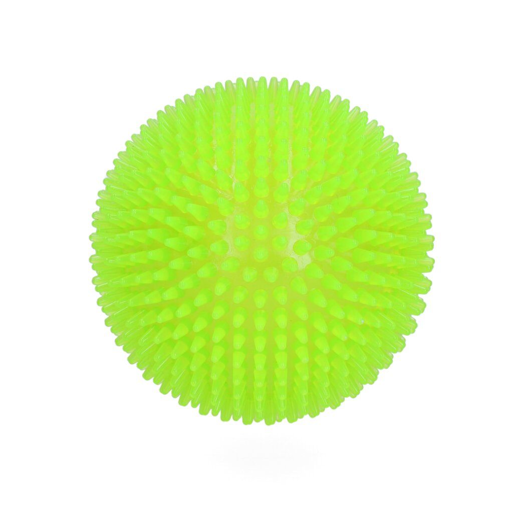 Cane Comete Esopianeta Verde s