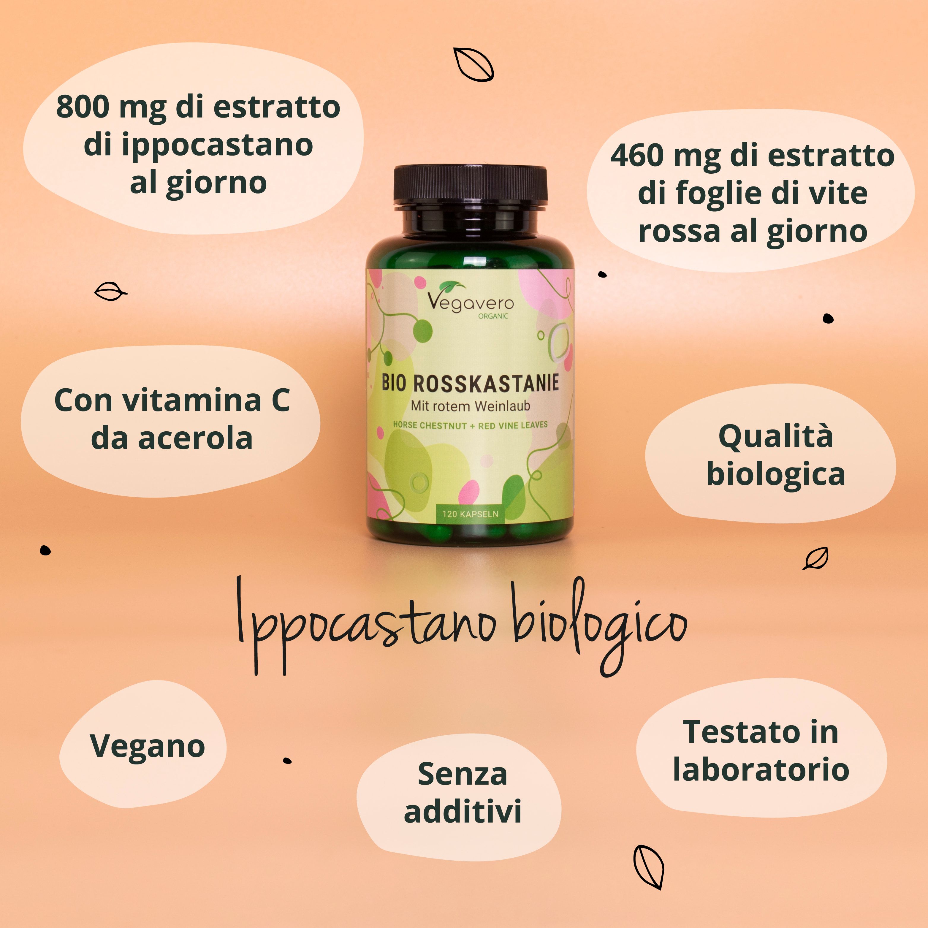 Grafica con informazioni sugli ingredienti e la qualità. Bottiglia con capsule. Scritta: BIO ROSSKASTANIE. Vegano, qualità bio.