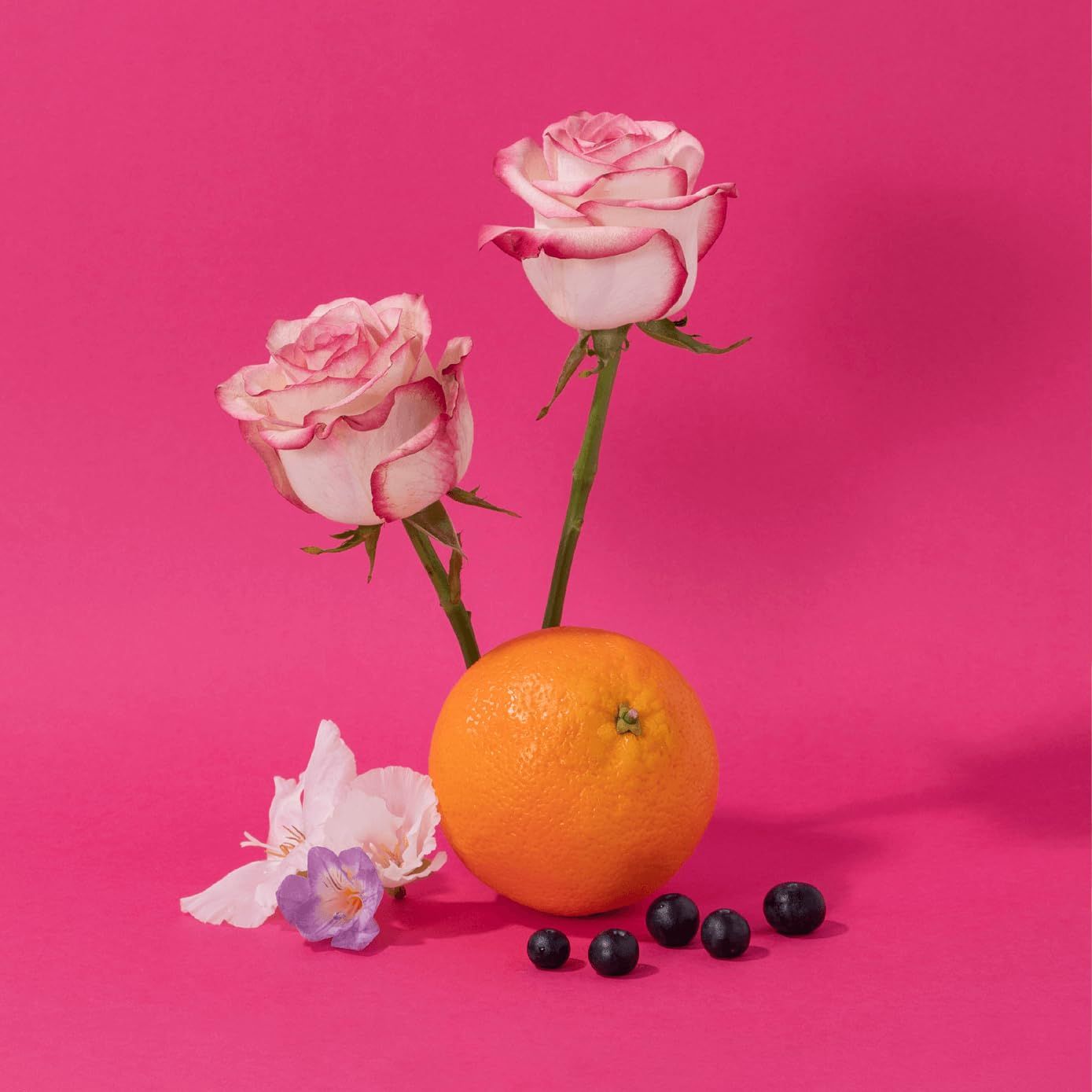 Due rose con petali rosa, un'arancia, una fresia e mirtilli su sfondo rosa.