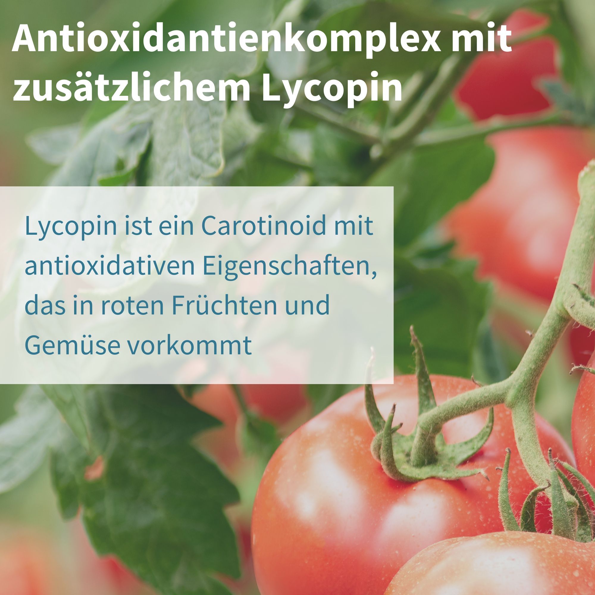 Complesso antiossidante con licopene aggiuntivo: Licopene da frutta e verdura rosse.