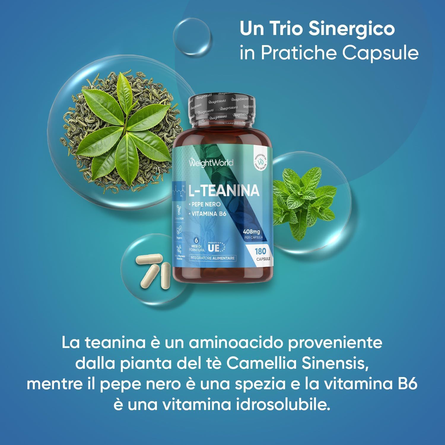 Flacone con capsule, erbe. Testo: L-Teanina, pepe, vitamina B6. 180 capsule.