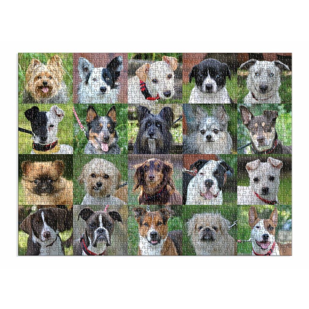 galison Puzzle Rescue Dogs 1000 pezzi