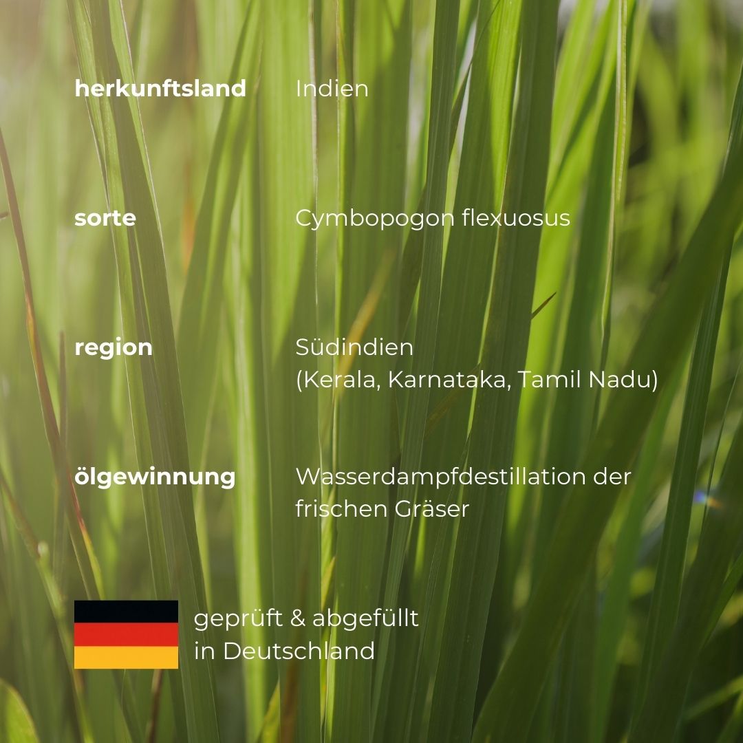 Testo su sfondo verde. Informazioni su paese di origine, varietà, regione ed estrazione dell'olio.