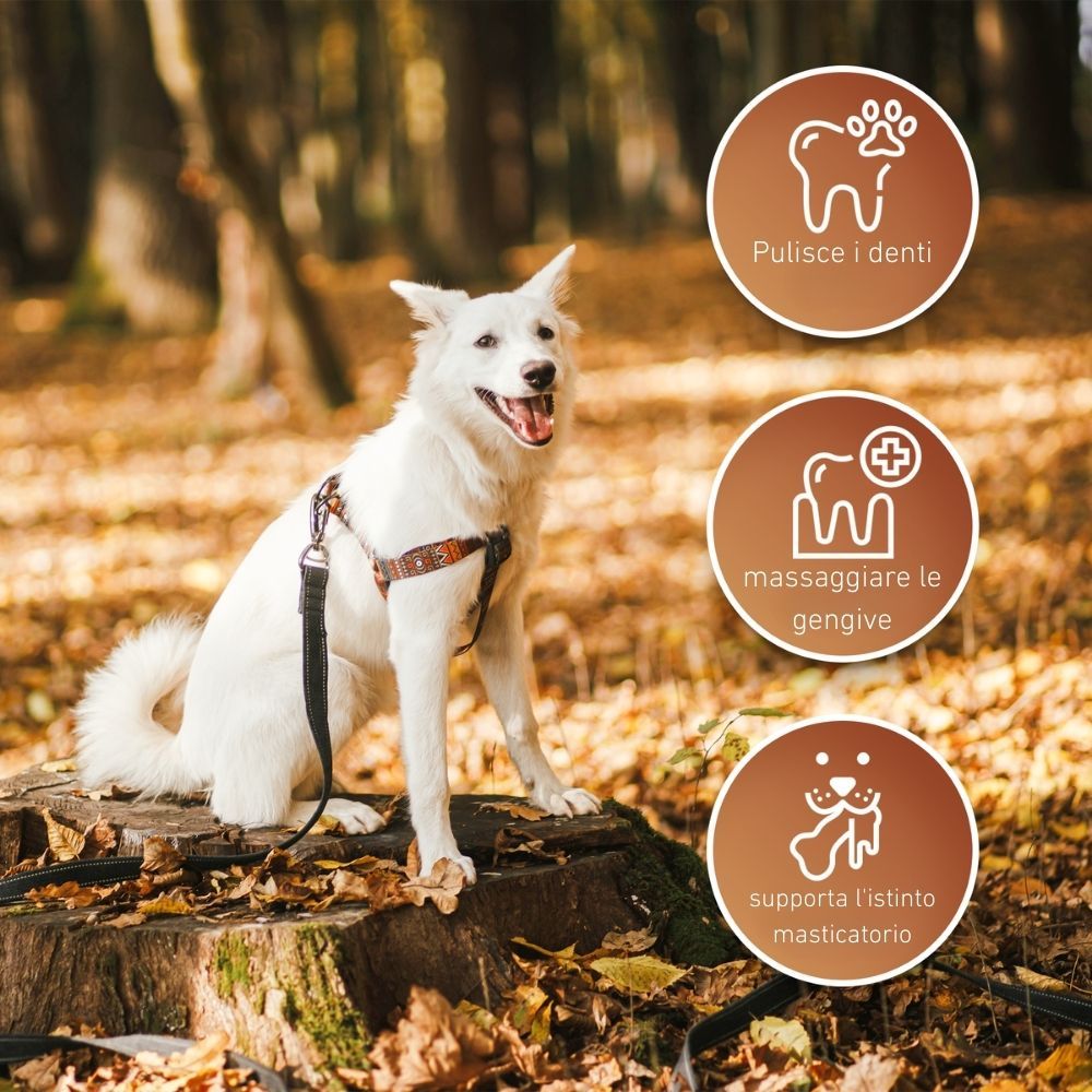 Cane bianco su un ceppo. Testo: Pulisce i denti, massaggia le gengive, supporta l'istinto masticatorio. Sfondo: natura.