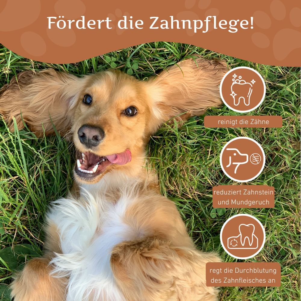 Cane sull'erba. Testo: Promuove l'igiene dentale! Icone: pulisce i denti, riduce il tartaro, favorisce la circolazione.