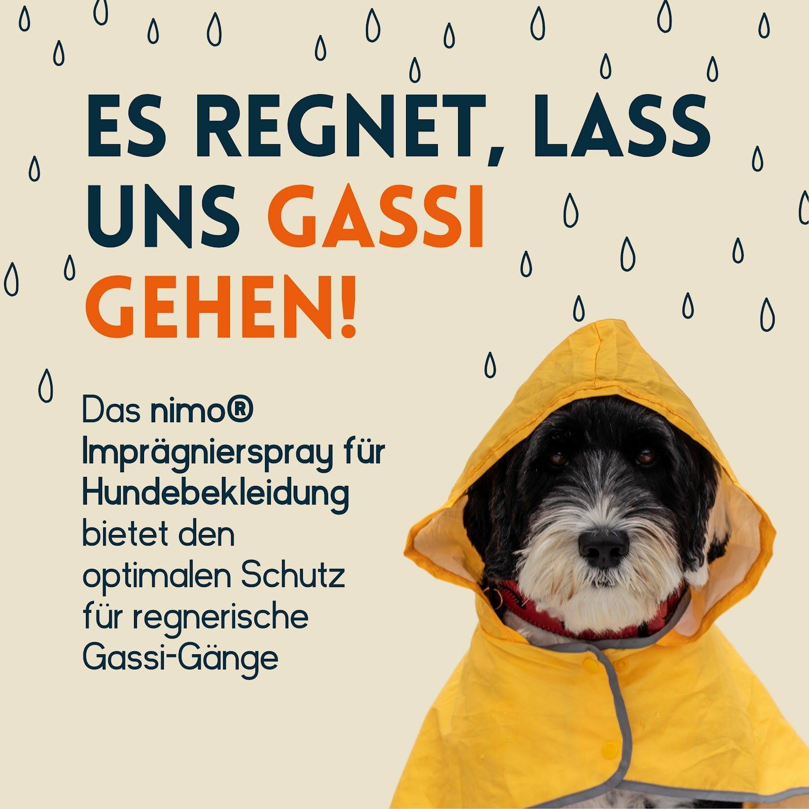 Cane con impermeabile giallo. Testo: Piove, andiamo a fare una passeggiata! Lo spray nimo offre una protezione ottimale per le passeggiate sotto la pioggia.
