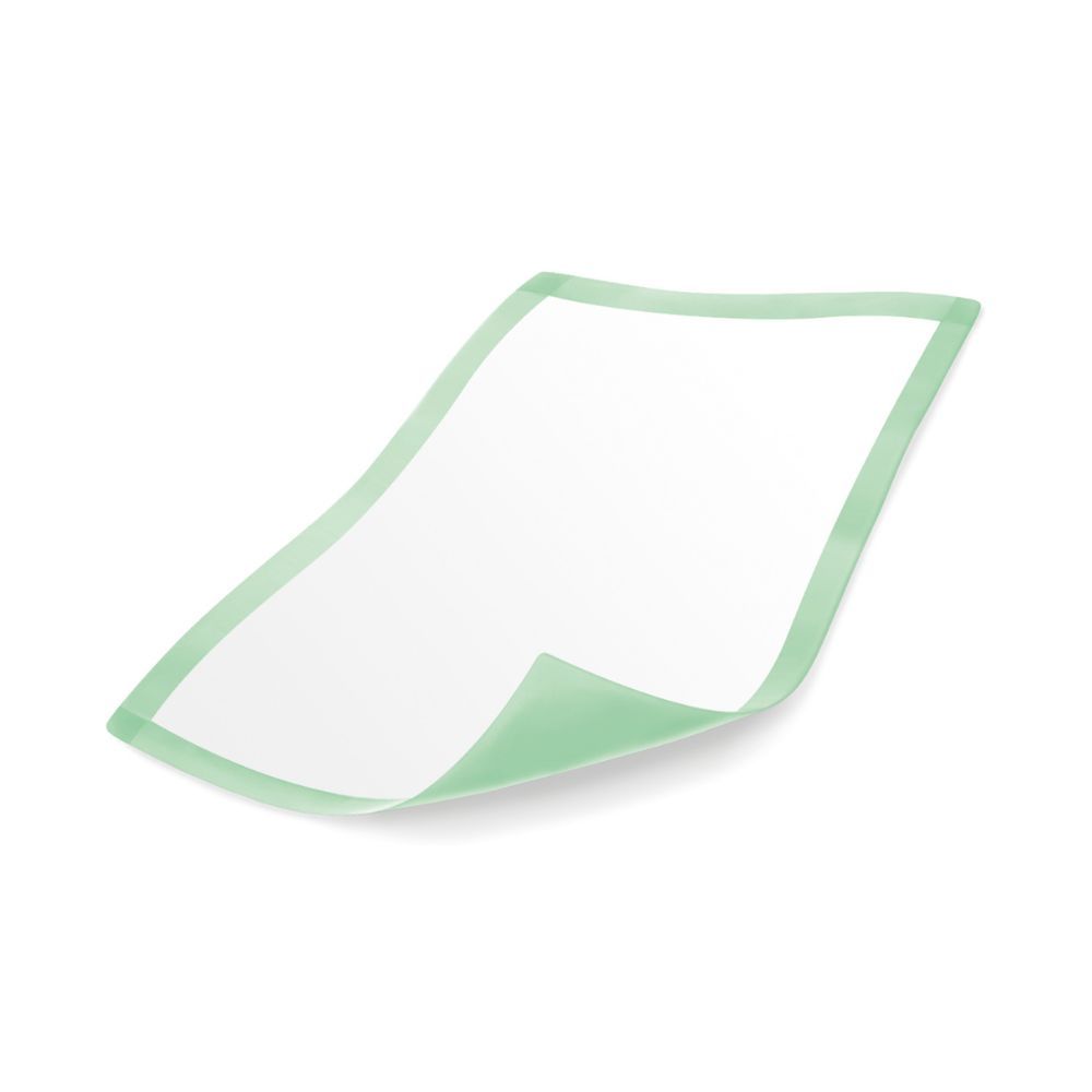 Telo letto rettangolare bianco con bordo verde, leggermente sollevato. Prodotto per l'igiene.