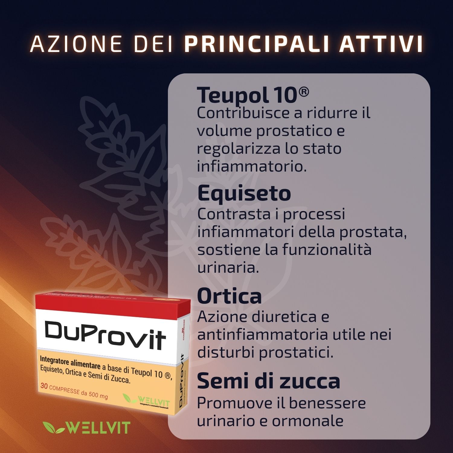 Wellvit | Integratore per la Prostata e Vie Urinariecon Teupol 10
