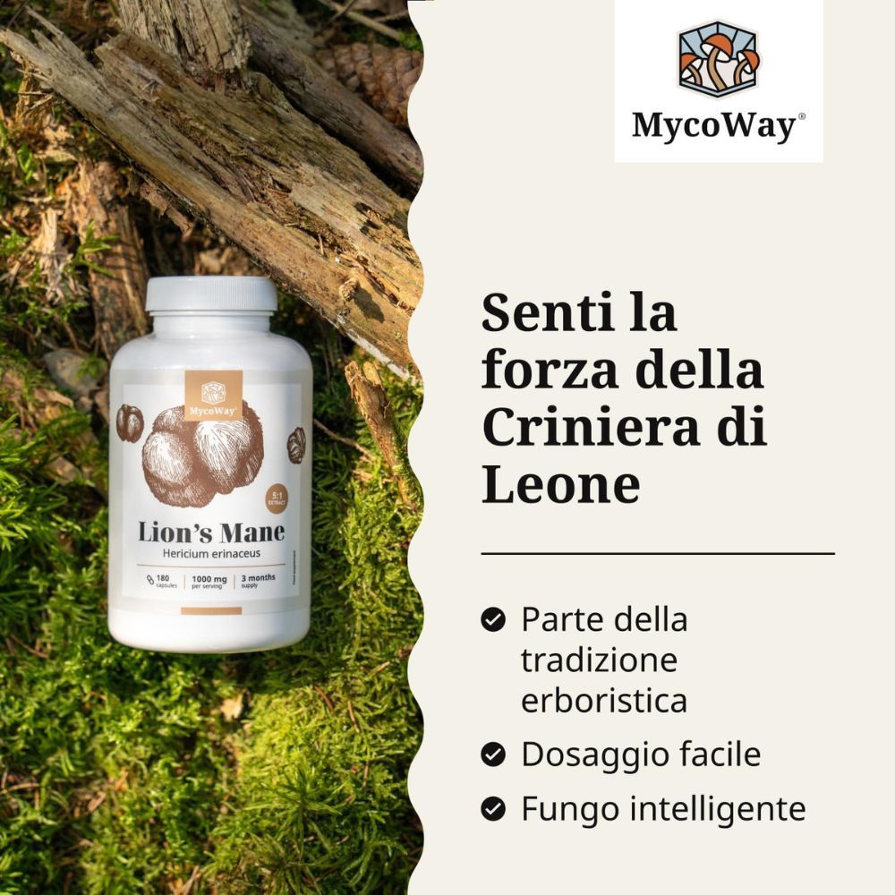 Flacone Lion's Mane su muschio. Testo: Senti la forza della Criniera di Leone. Marchio: MycoWay.