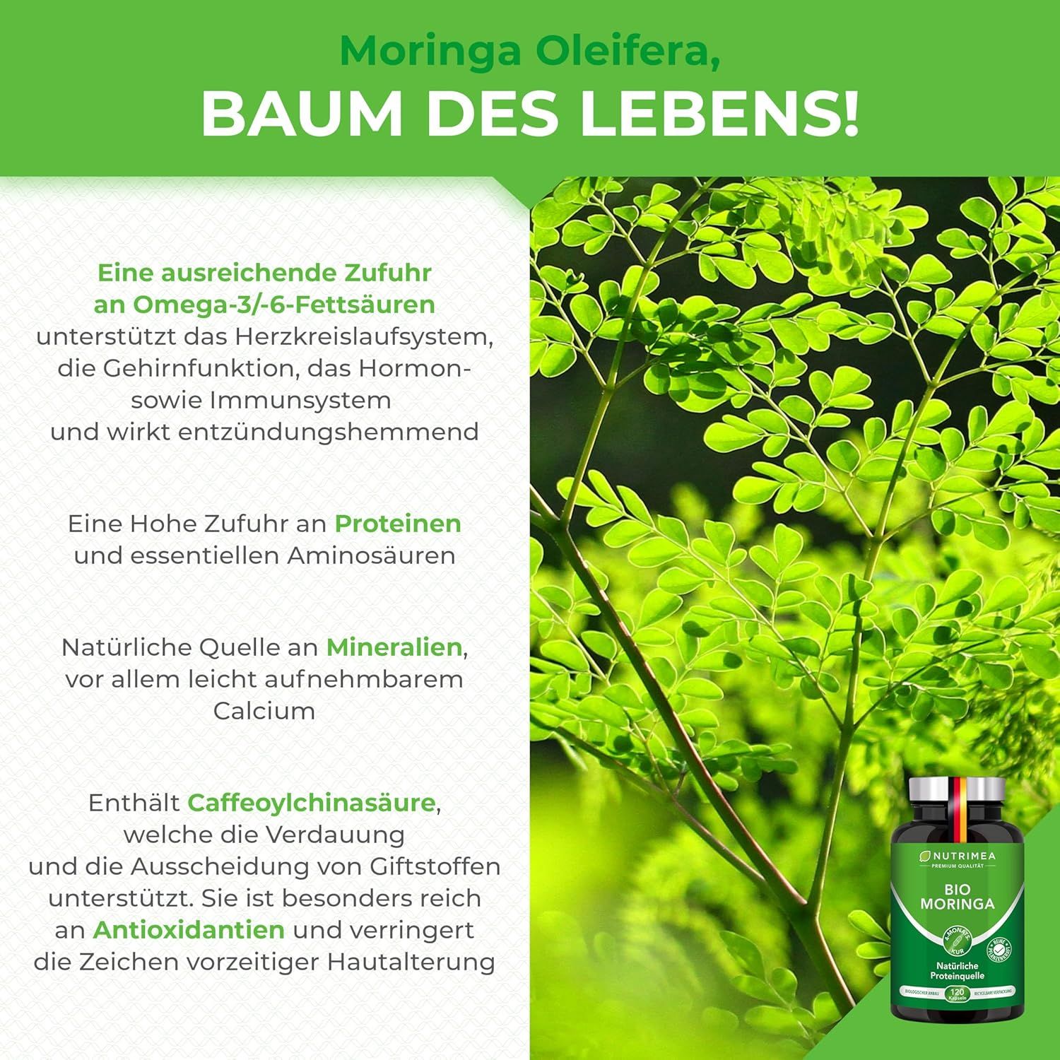 Fogliame verde. Una bottiglia di capsule Nutrimea Bio Moringa. Testo: Moringa Oleifera, Albero della vita!
