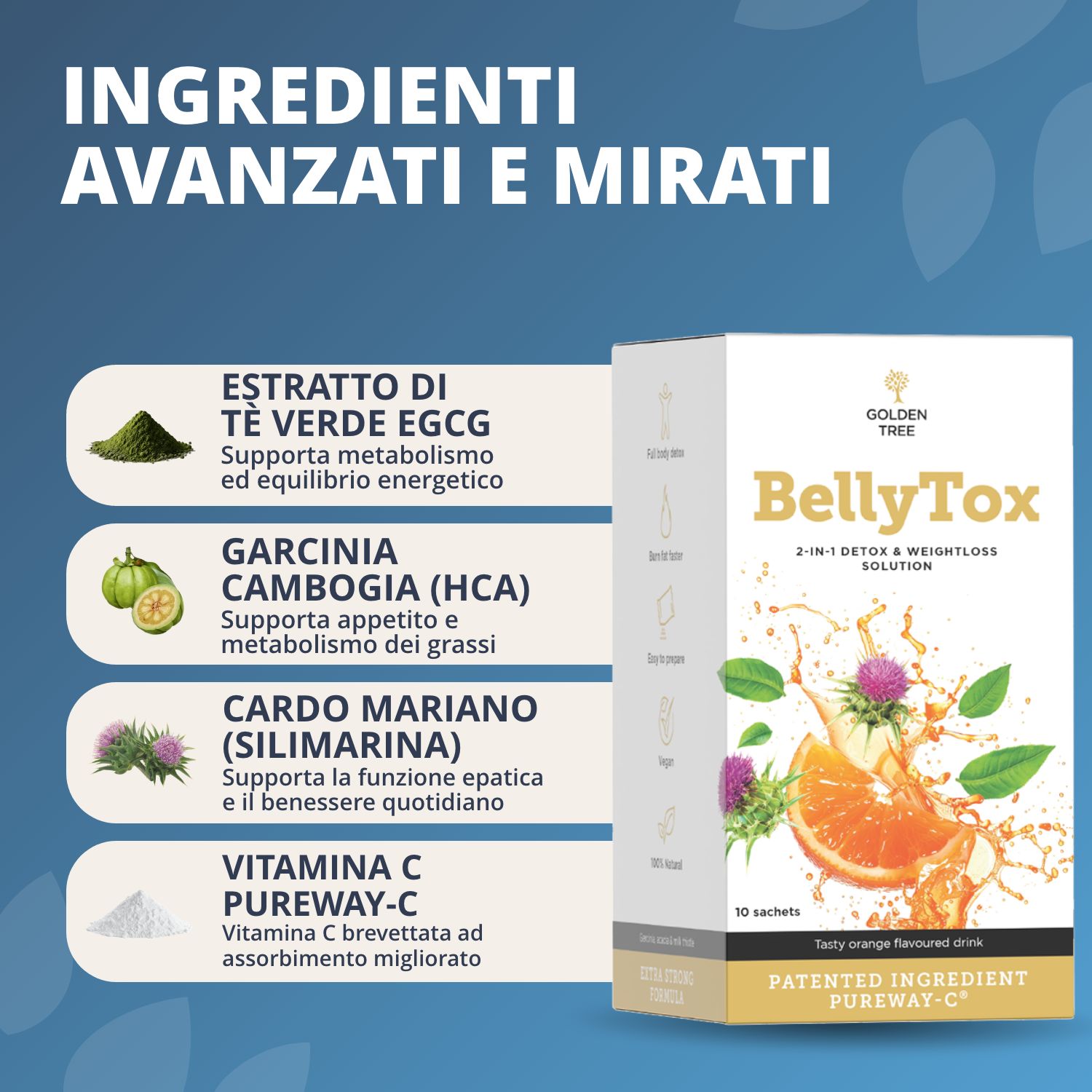Elenco ingredienti italiano per Golden Tree BellyTox: Estratto di Tè Verde, Garcinia, Cardo Mariano, Vitamina C.