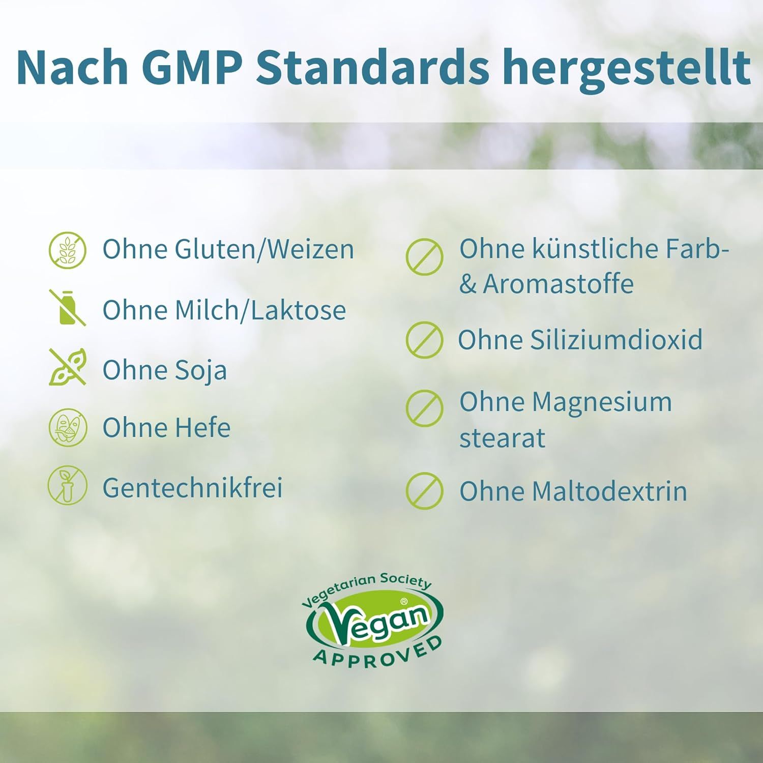 Infografica: Senza glutine, lattosio, soia, lievito, OGM. Senza coloranti e aromi artificiali. Sigillo vegano.