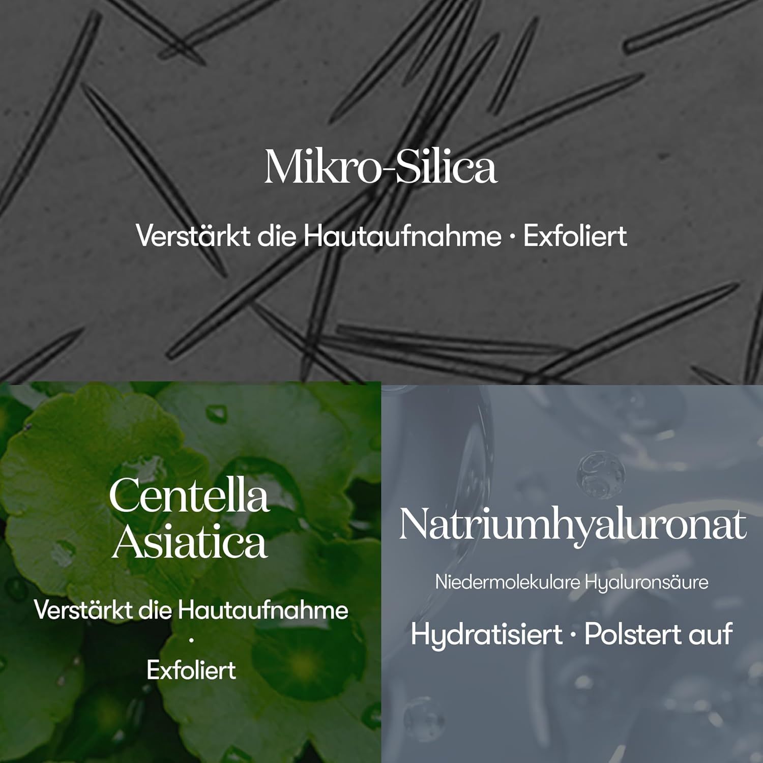 Primo piano degli ingredienti. Testo: Mikro-Silica, Centella Asiatica, Natriumhyaluronat. Sfondo: grigio scuro.