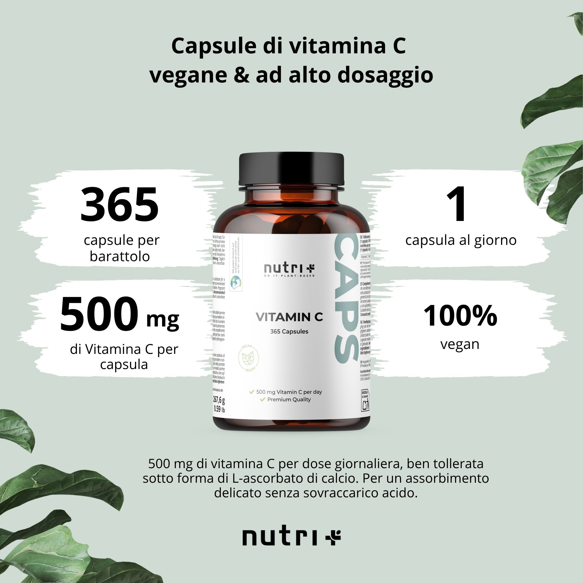 Immagine con testo: Capsule di vitamina C vegane & ad alto dosaggio. Contiene 365 capsule, 500 mg di vitamina C, 1 capsula al giorno, 100% vegan.