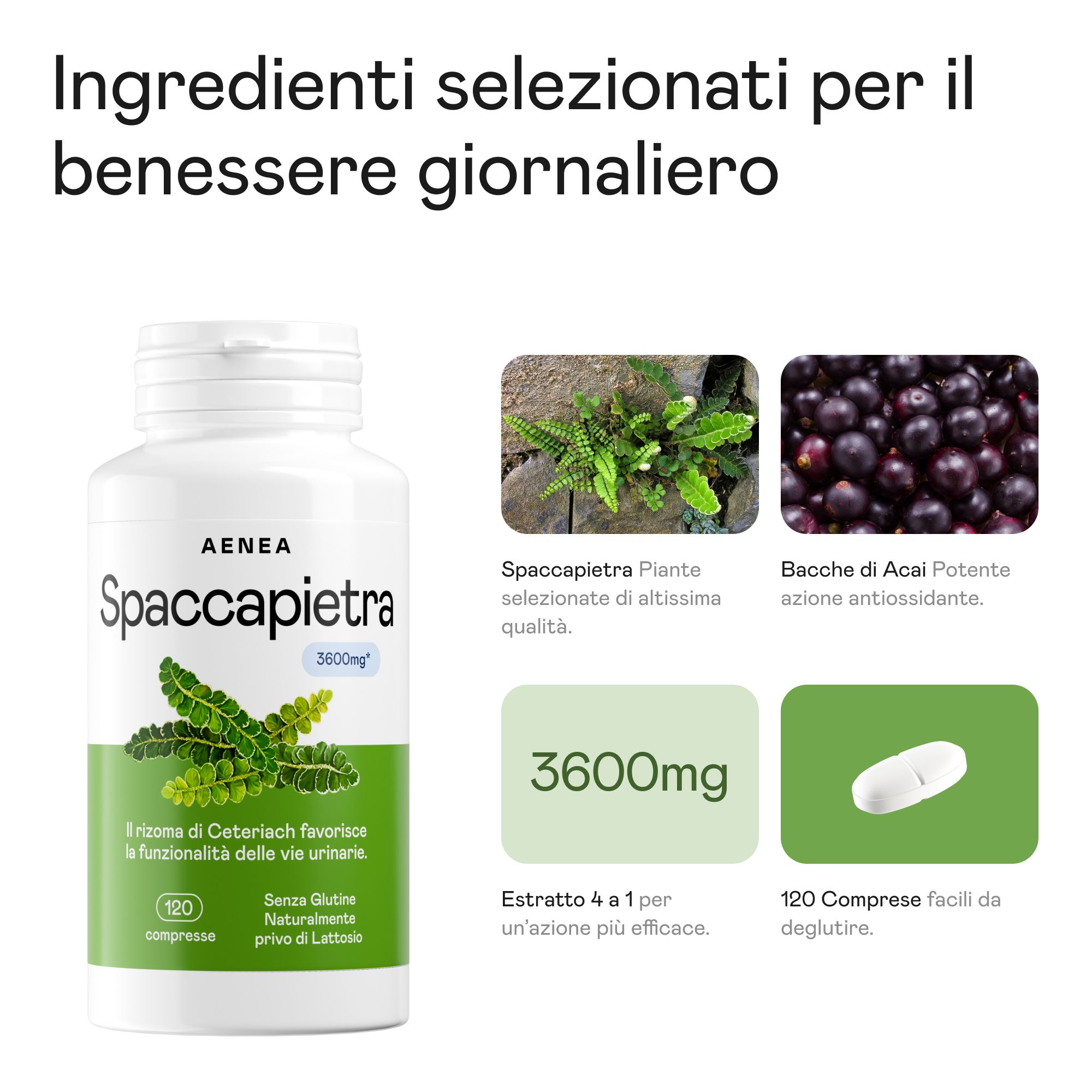 Flacone di compresse Aenea Spaccapietra con ingredienti: pianta Spaccapietra, bacche di Acai, estratto 3600mg, 120 compresse.
