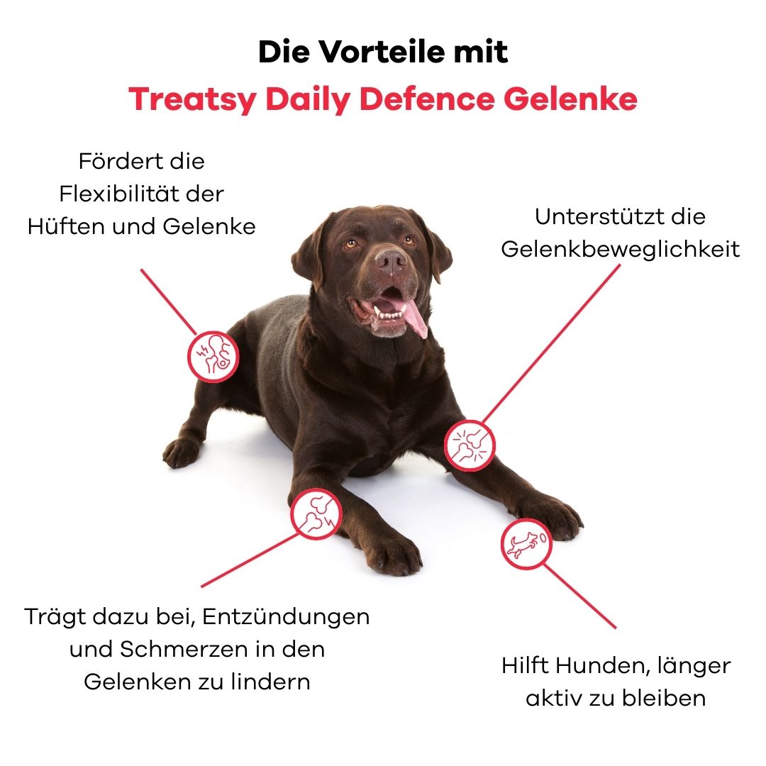 Cane marrone sdraiato. Testo: Vantaggi con Treatsy Daily Defence Articolazioni. Grafici mostrano articolazioni e testo.