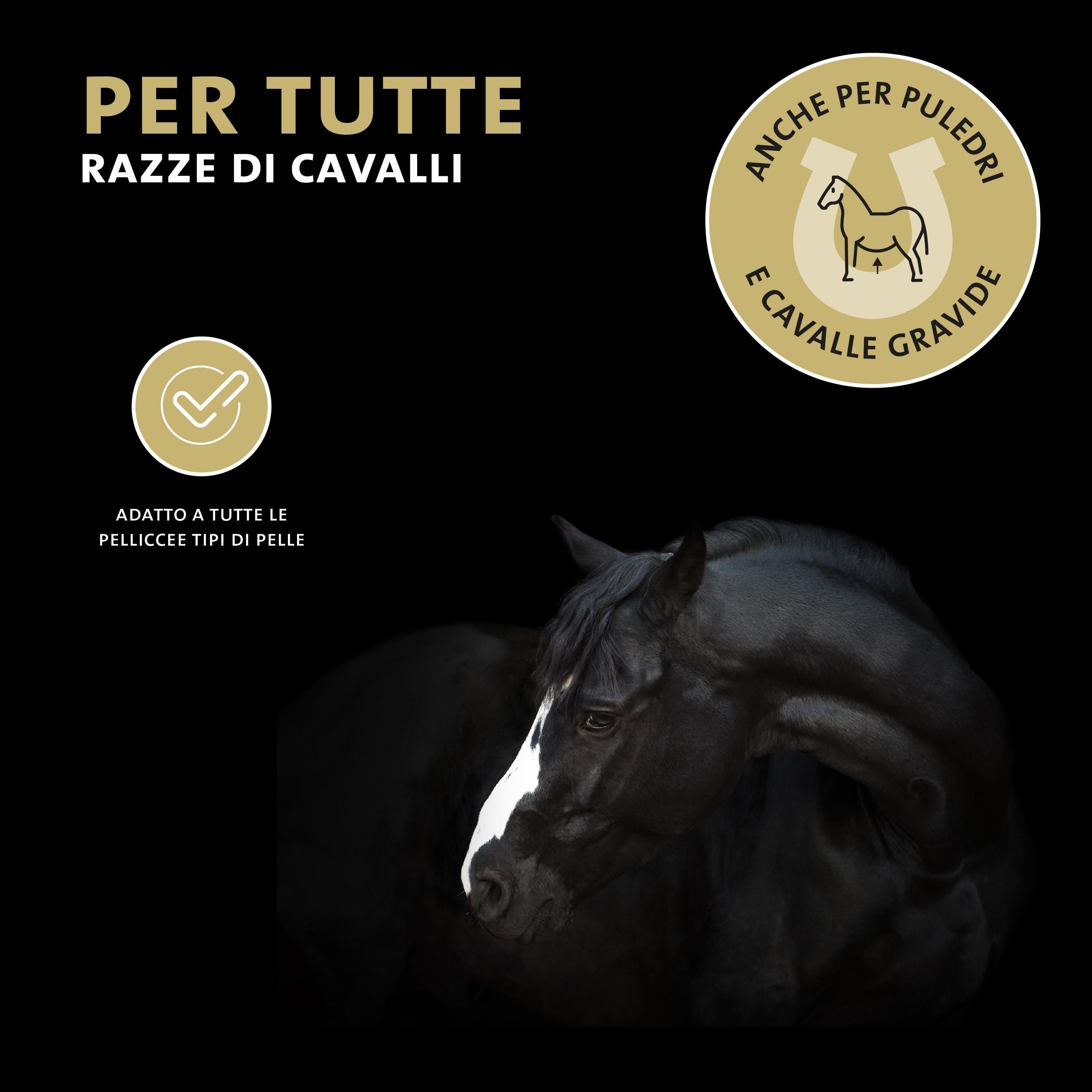 Cavallo nero con lista bianca. Testo: Per tutte le razze di cavalli. Anche per puledri e cavalle gravide.