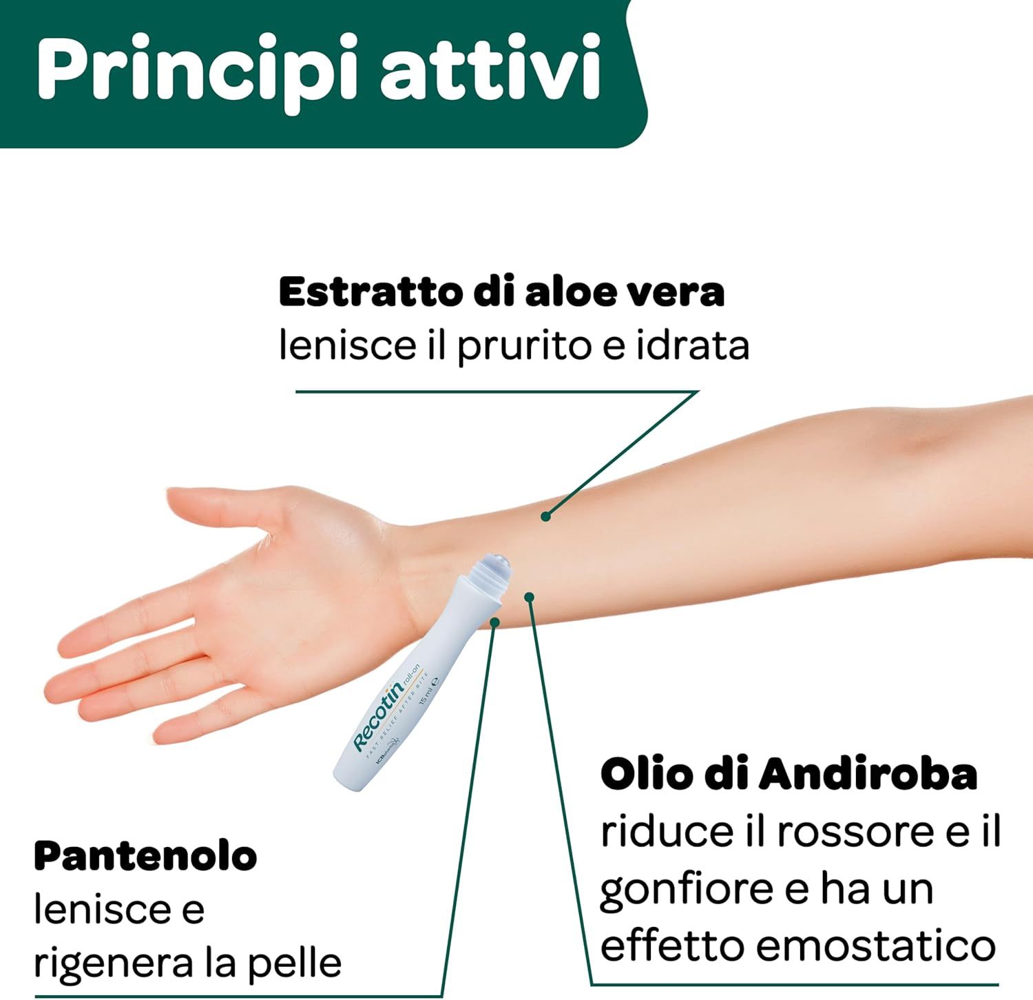 Braccio con roll-on. Testo: Principi attivi. Estratto di aloe vera, pantenolo, olio di andiroba.