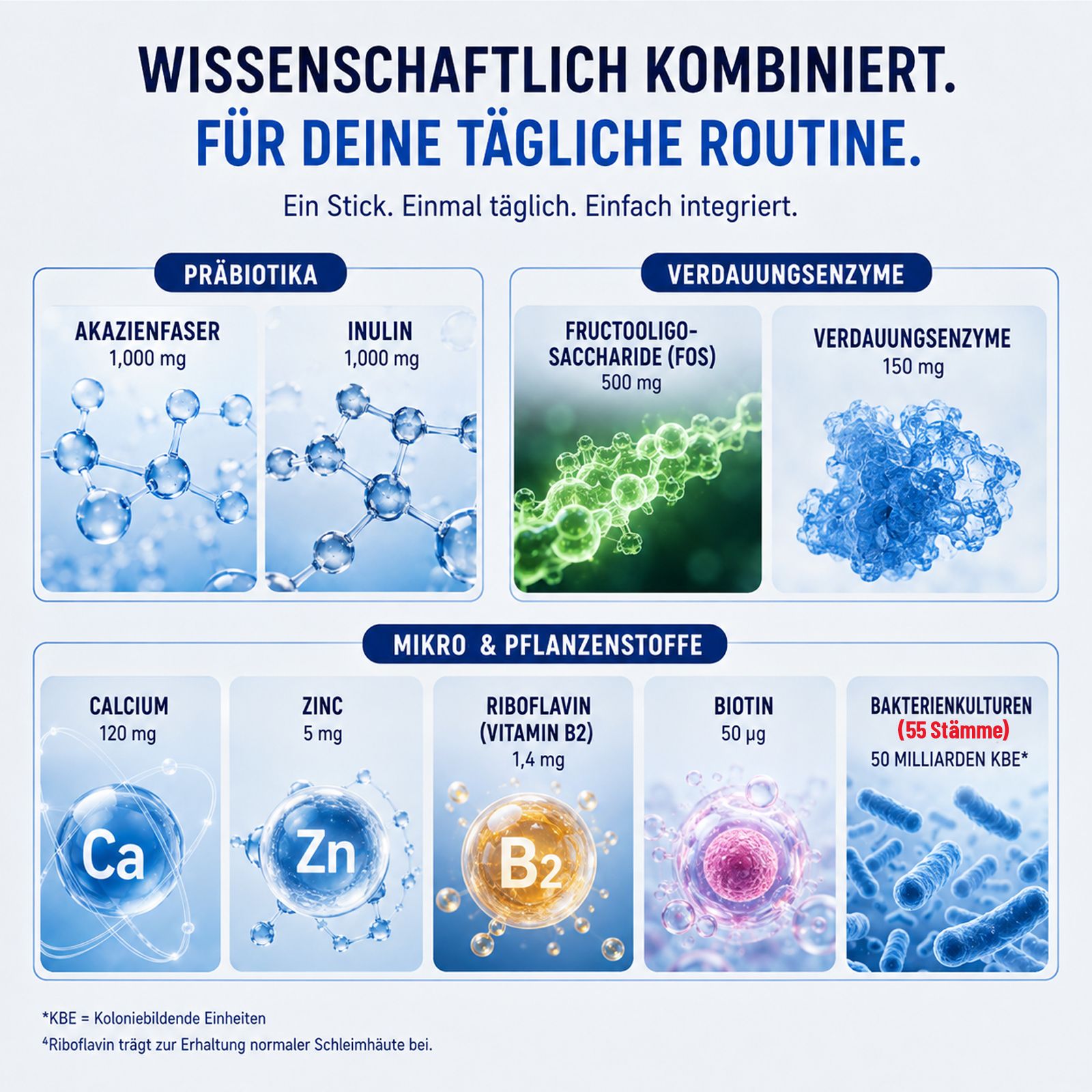 Combinazione scientifica: Fibra d'acacia, inulina, FOS, enzimi digestivi, calcio, zinco, riboflavina, biotina.