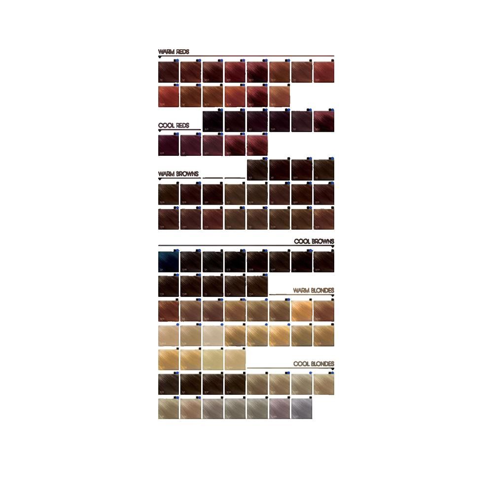 Tabella colori per capelli. Diverse tonalità disposte in file, tra cui biondo, marrone e rosso. Goldwell Topchic.