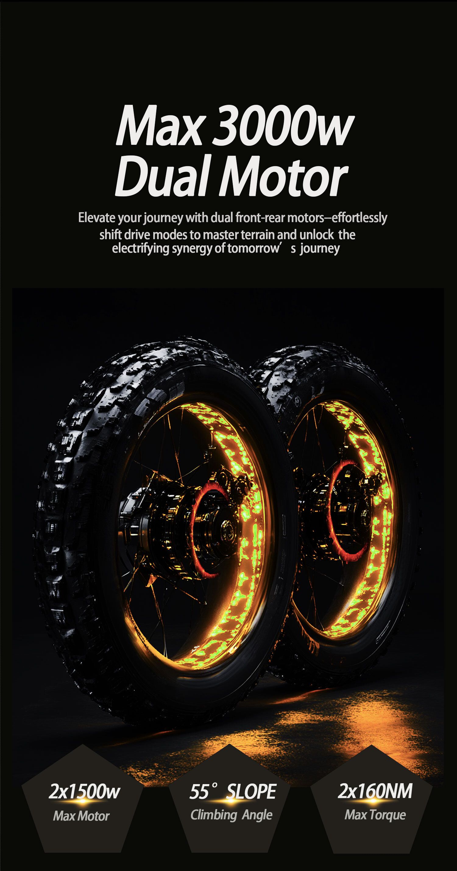 Due ruote di una e-bike. Max 3000W Dual Motor. 2x1500W Max Motor, 55° pendenza, 2x160NM Max Torque.