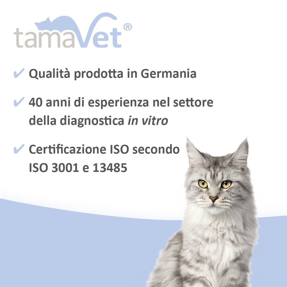Gatto seduto. Testo: Qualità prodotta in Germania, 40 anni di esperienza, certificazione ISO.