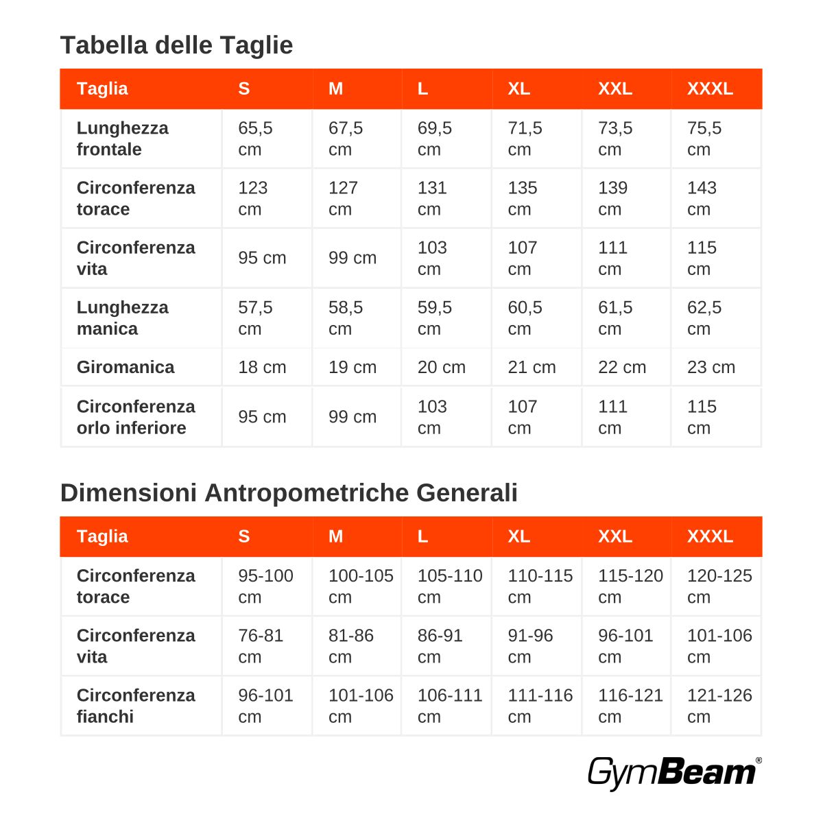 GymBeam Felpa uomo oversize Varsity Grey con tasche