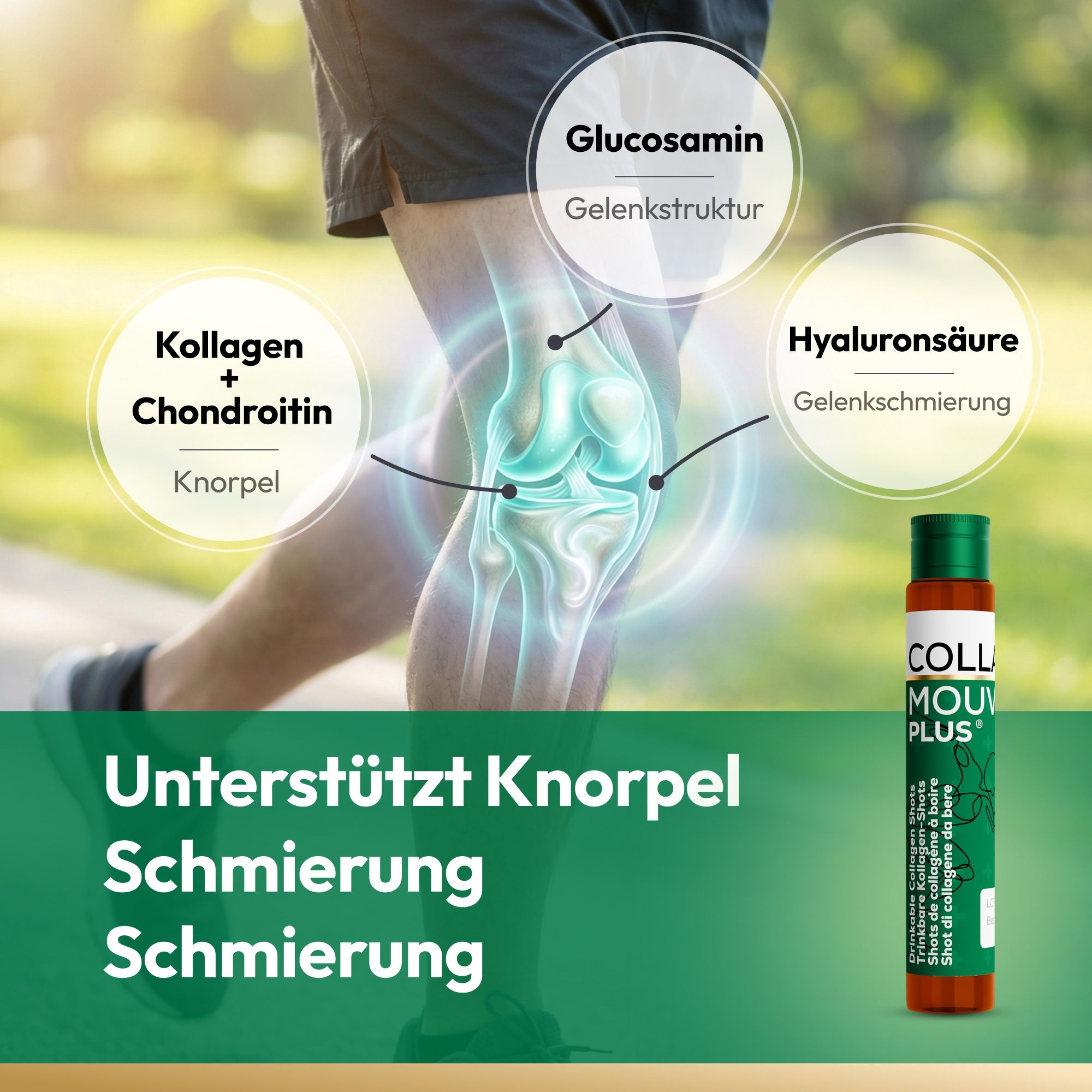 Rappresentazione grafica del supporto articolare tramite glucosamina, acido ialuronico, collagene e condroitina.