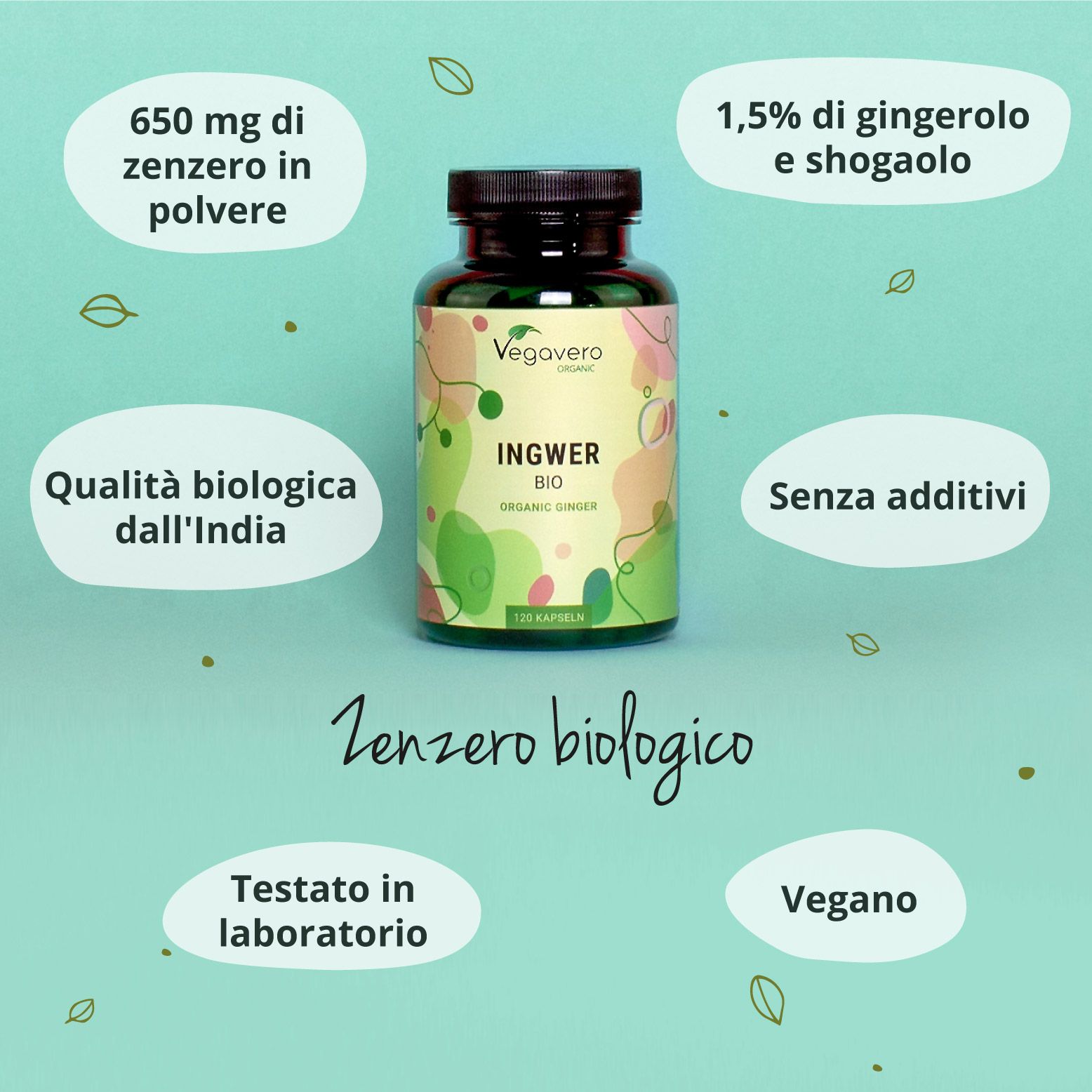 Flacone di capsule Ingwer BIO. Testi: 650 mg zenzero in polvere, 1,5% gingerolo e shogaolo, qualità biologica dall'India, senza additivi, vegano.