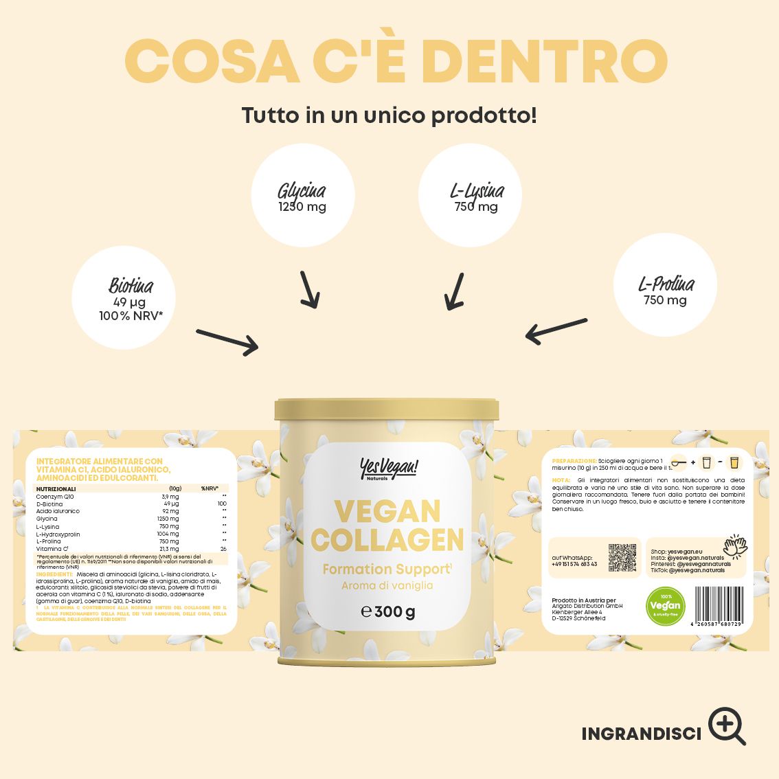 Schema degli ingredienti della polvere di collagene vegano vaniglia (Olandese).