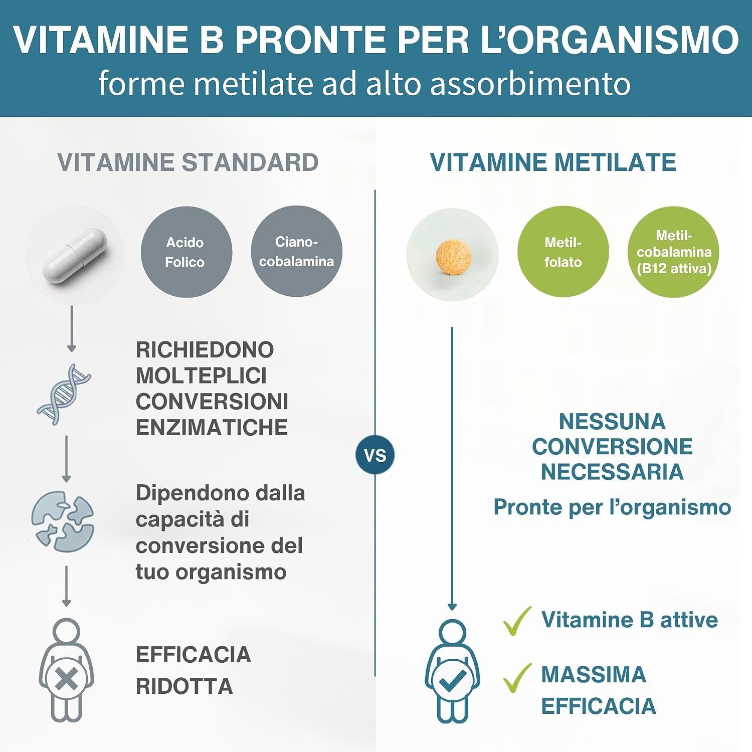 Confronto tra vitamine B standard e vitamine B metilate per una maggiore biodisponibilità.