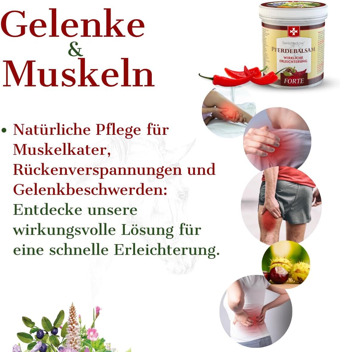 Immagine pubblicitaria con prodotto e illustrazioni. Prodotto: SwissMedicus Pferdebalsam FORTE. Testo: Articolazioni & Muscoli.