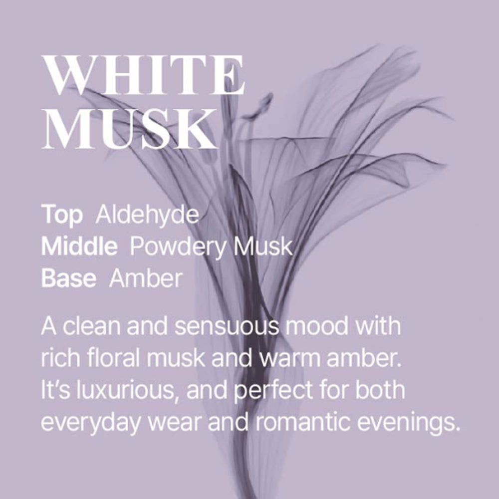 Grafica delle note olfattive White Musk: testa aldeide, cuore muschio cipriato, base ambra.