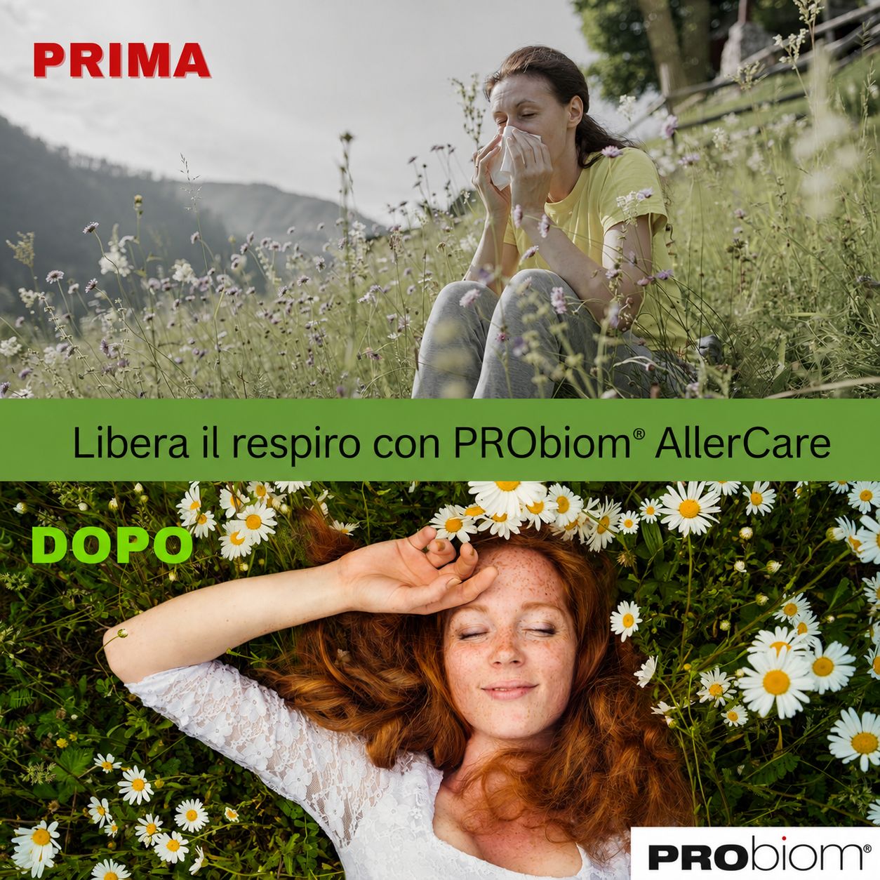 Prima: donna starnutisce. Dopo: donna rilassata. Testo: Respira liberamente con Probiom AllerCare.