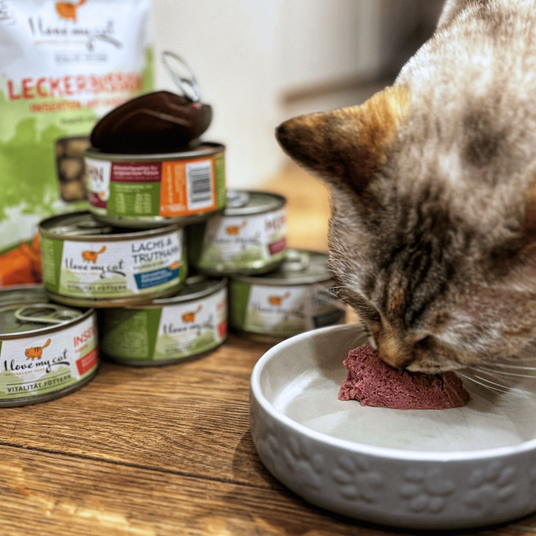 Nome: I love my cat cibo umido per gatti con insetti