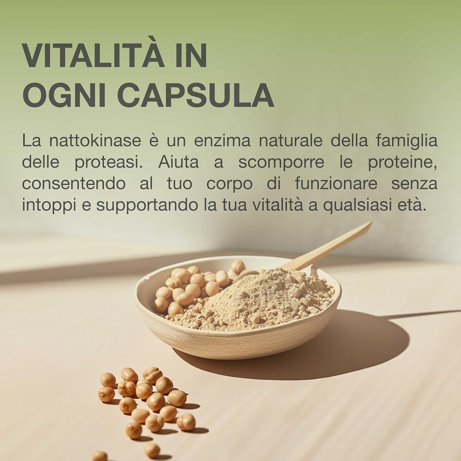 Nattokinase Capsule 100mg Alto Dosaggio - RAIBU