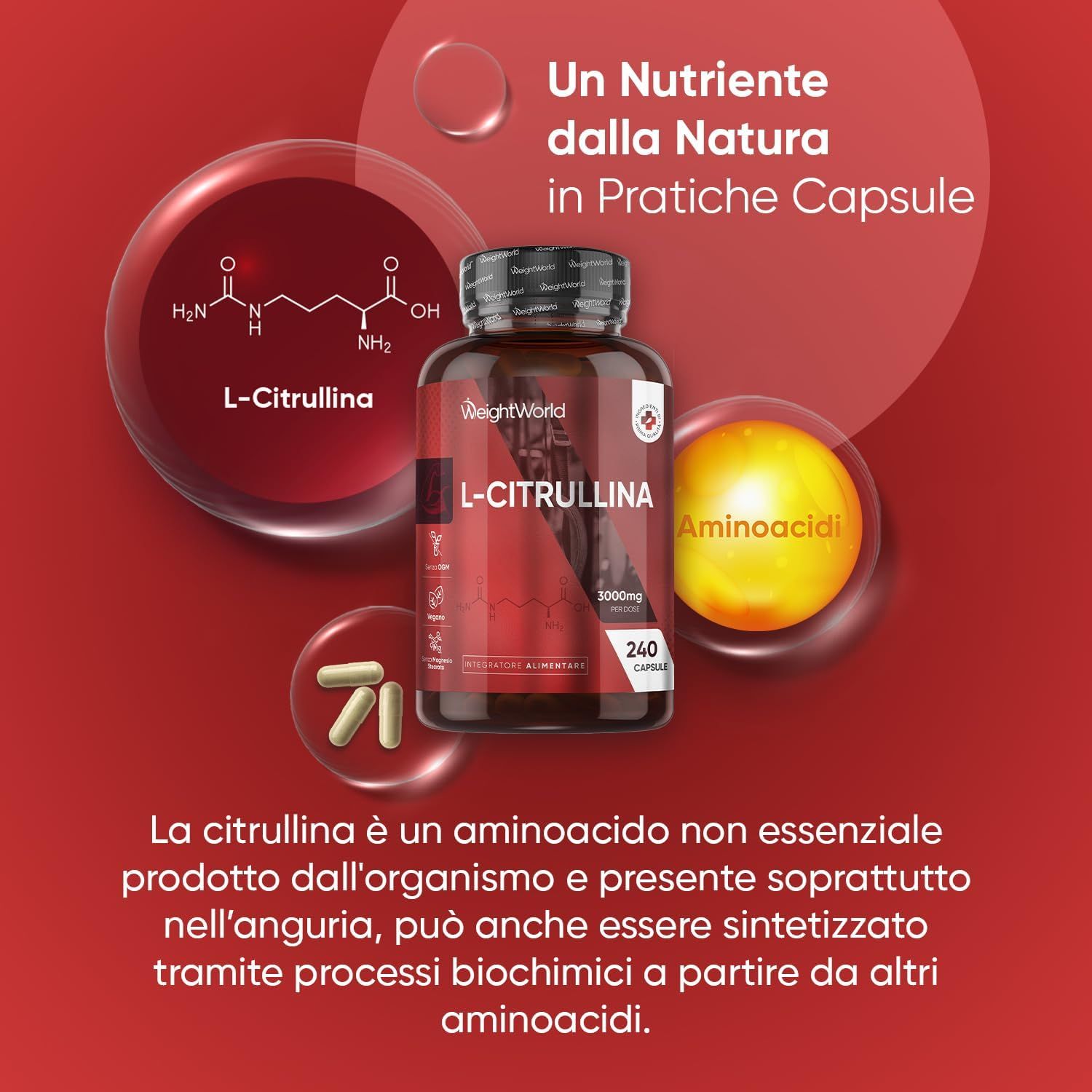 Flacone marrone di capsule L-Citrullina. Scritta: WeightWorld, L-Citrullina, 240 capsule. Rappresentazione dell'aminoacido.