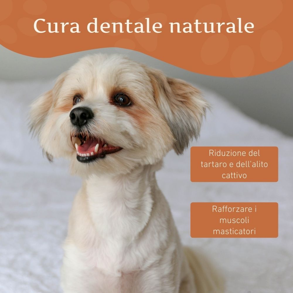 Cane piccolo con la bocca aperta. Testo: Cura dentale naturale. Riduzione del tartaro e dell'alito cattivo. Rafforzare i muscoli masticatori.