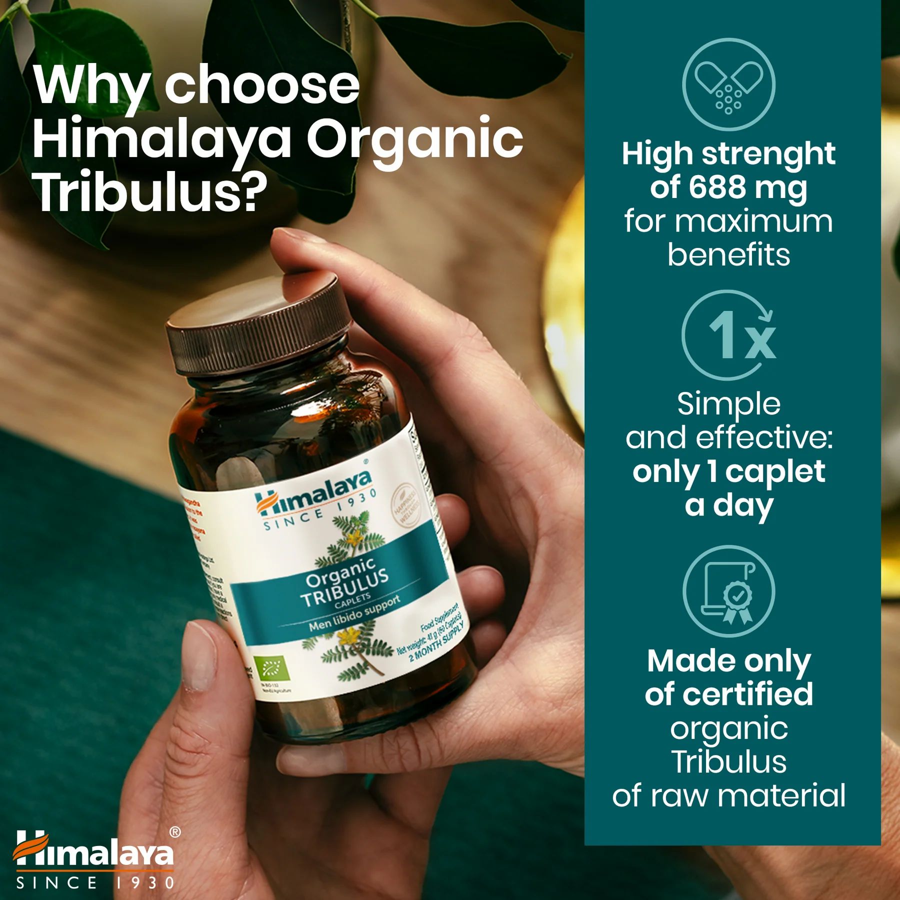 Mano che tiene una bottiglia di Himalaya Organic Tribulus. Testo: Alta concentrazione, 1 capsula al giorno, materie prime biologiche certificate.