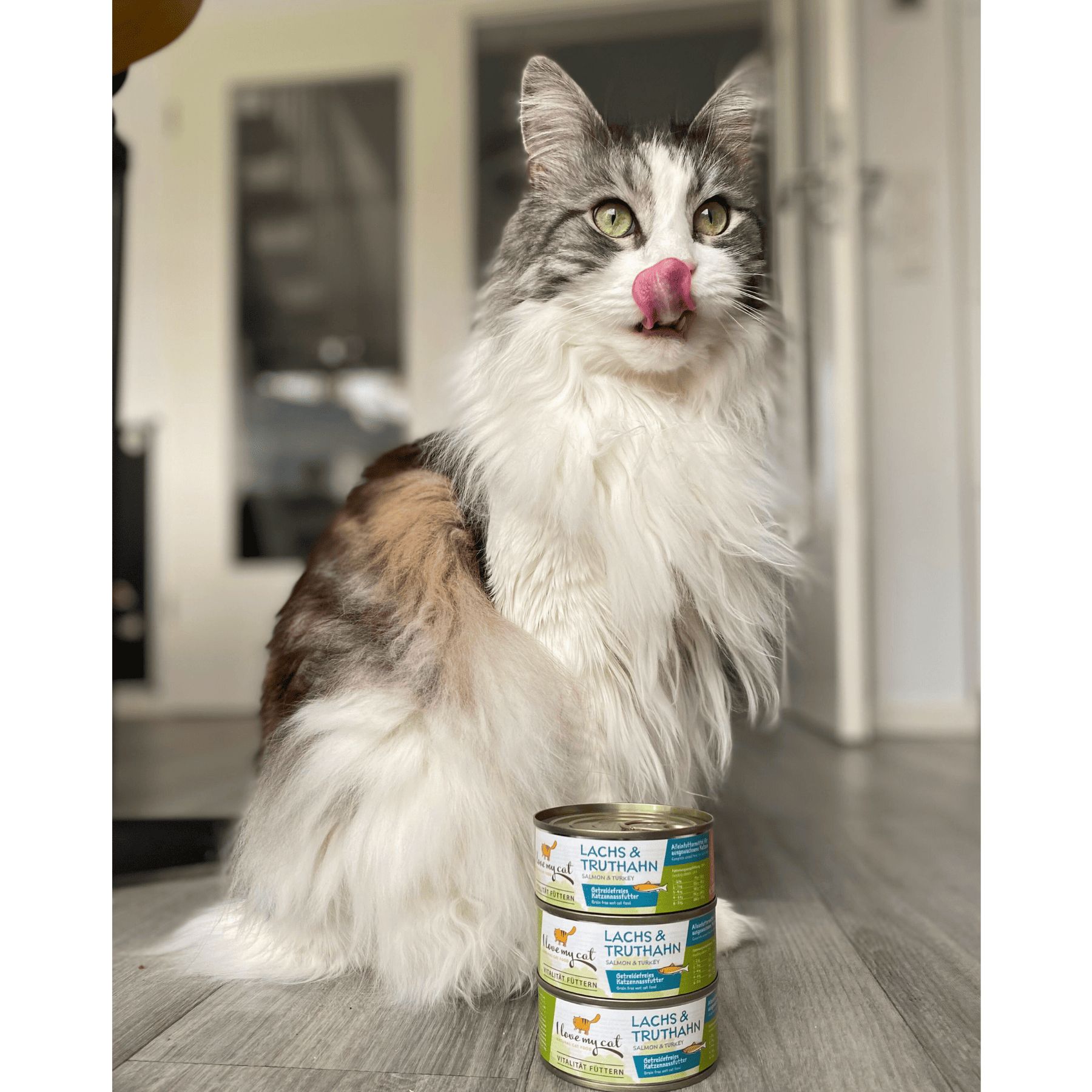I love my cat Cibo umido per gatti con salmone e tacchino
