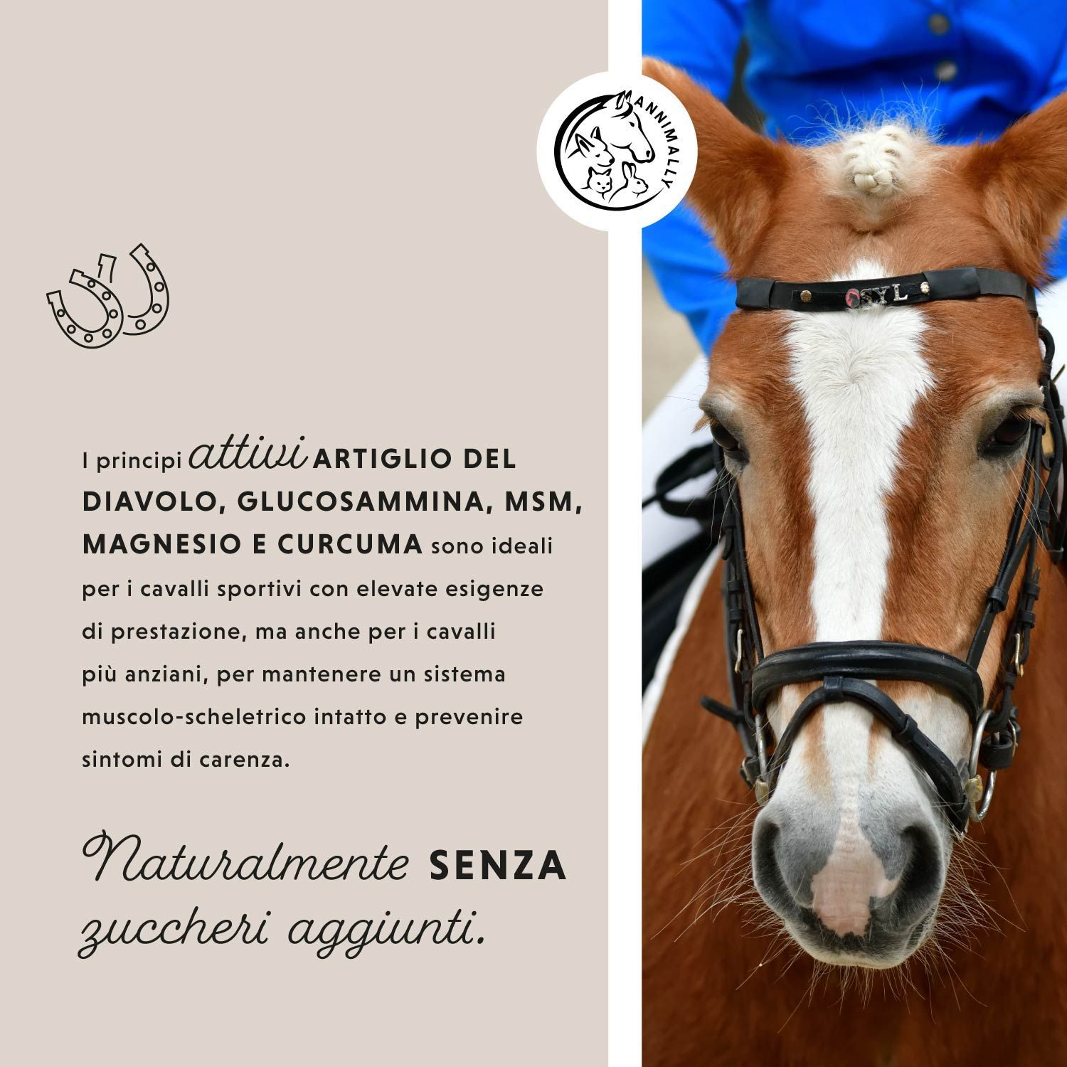Testa di cavallo con briglia. Testo: Artiglio del diavolo, Glucosammina, MSM, Magnesio e Curcuma. Senza zuccheri aggiunti.